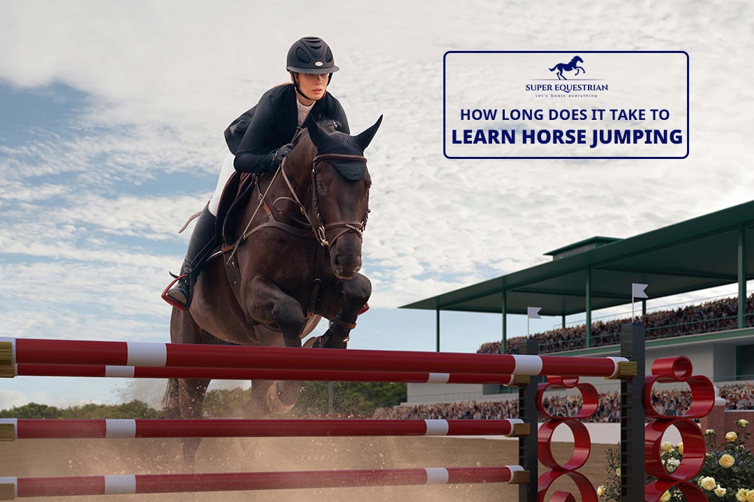 how-long-does-it-take-to-learn-horse-jumping